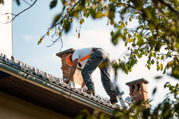 Roof Gutter Cleaning in Oakland, PA
